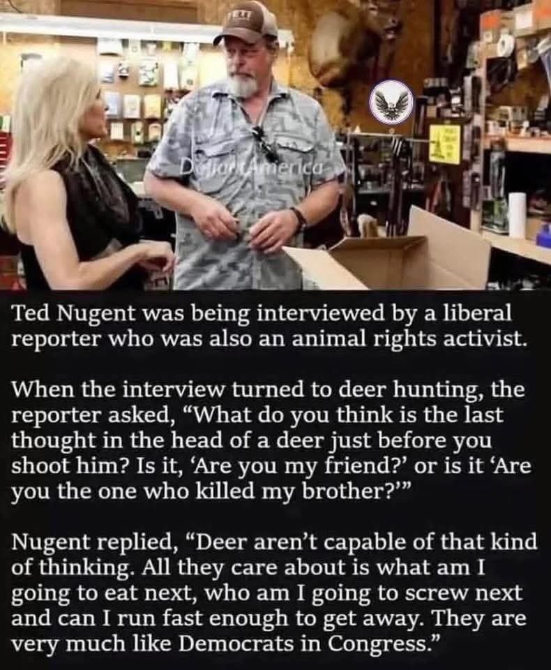 Hillbilly tweet media