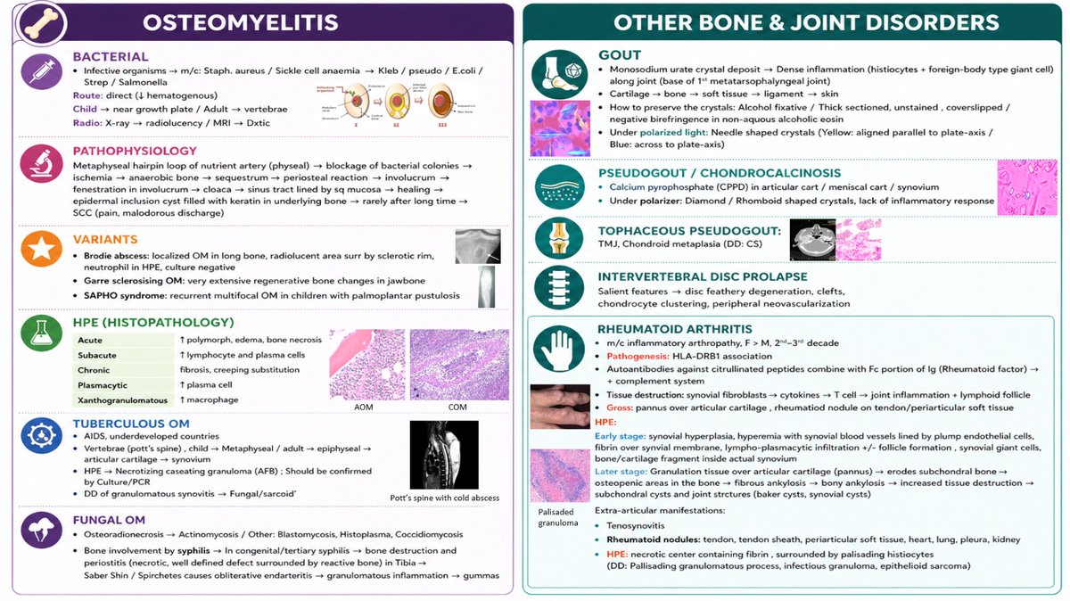 Dr. Arkadip MD tweet media