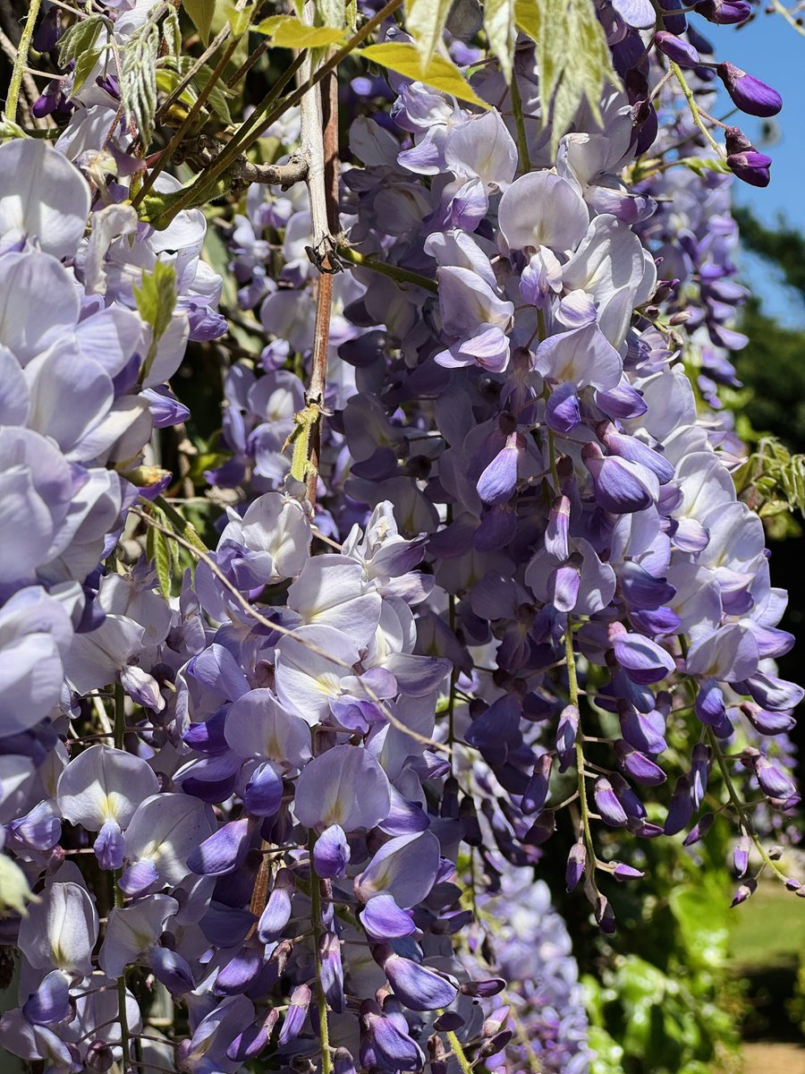 Ahu Öztürk tweet media