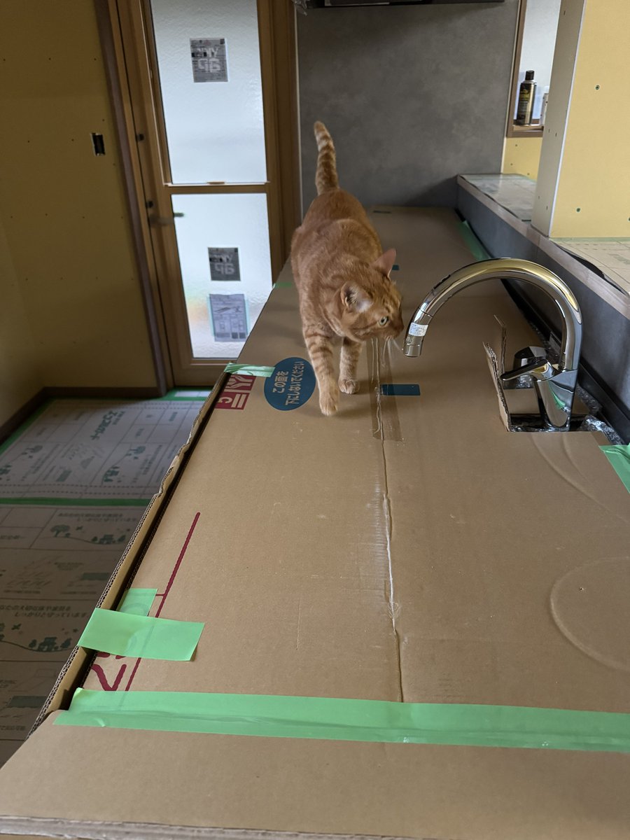 ほっぷ tweet media