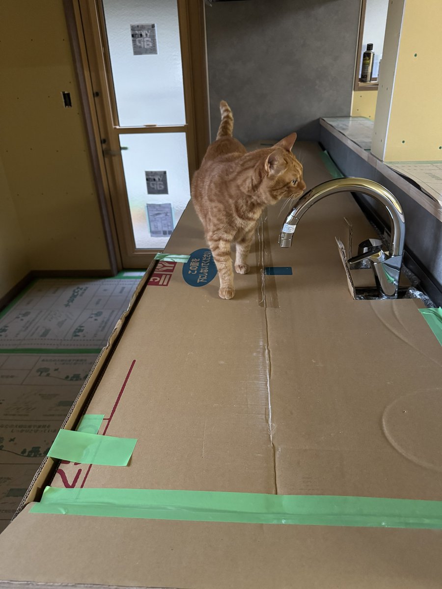 ほっぷ tweet media