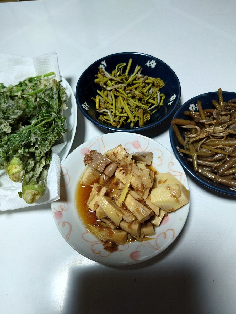 古鷹の狩人 tweet media