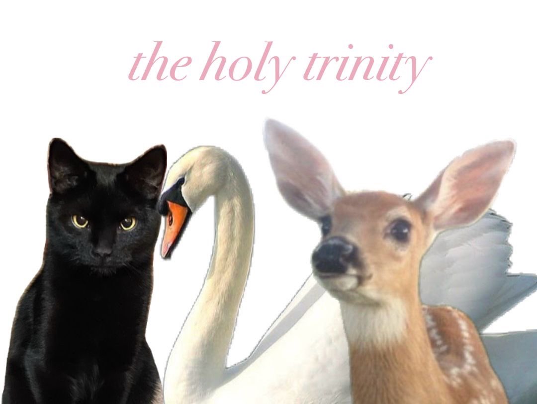 ଘ(੭*ˊᵕˋ)੭* ੈ♡‧₊˚ tweet media