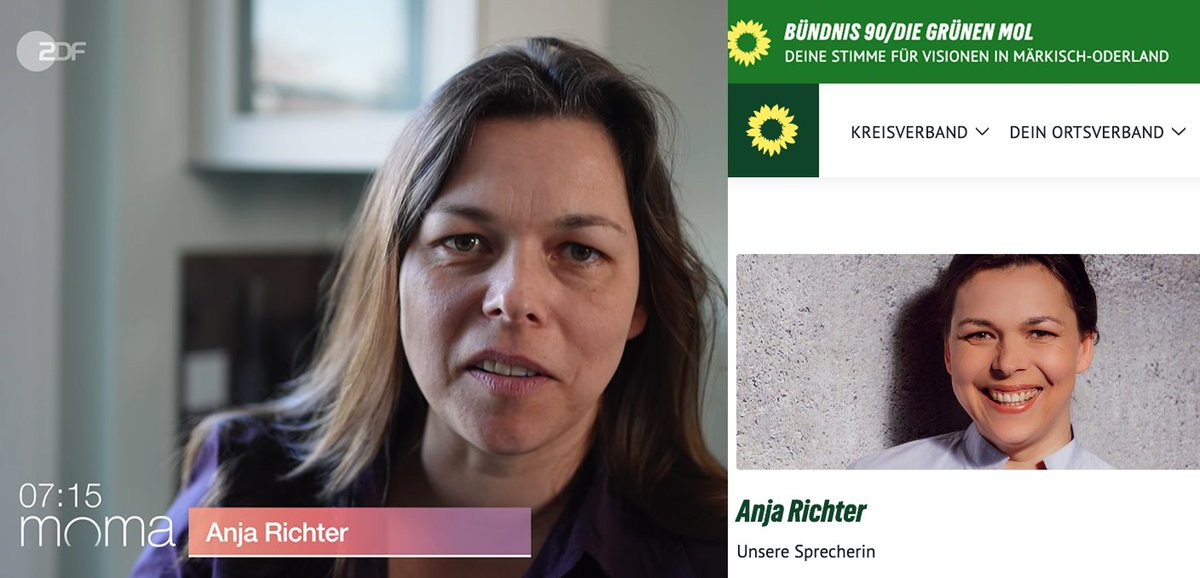 Critical Cat | tweet media