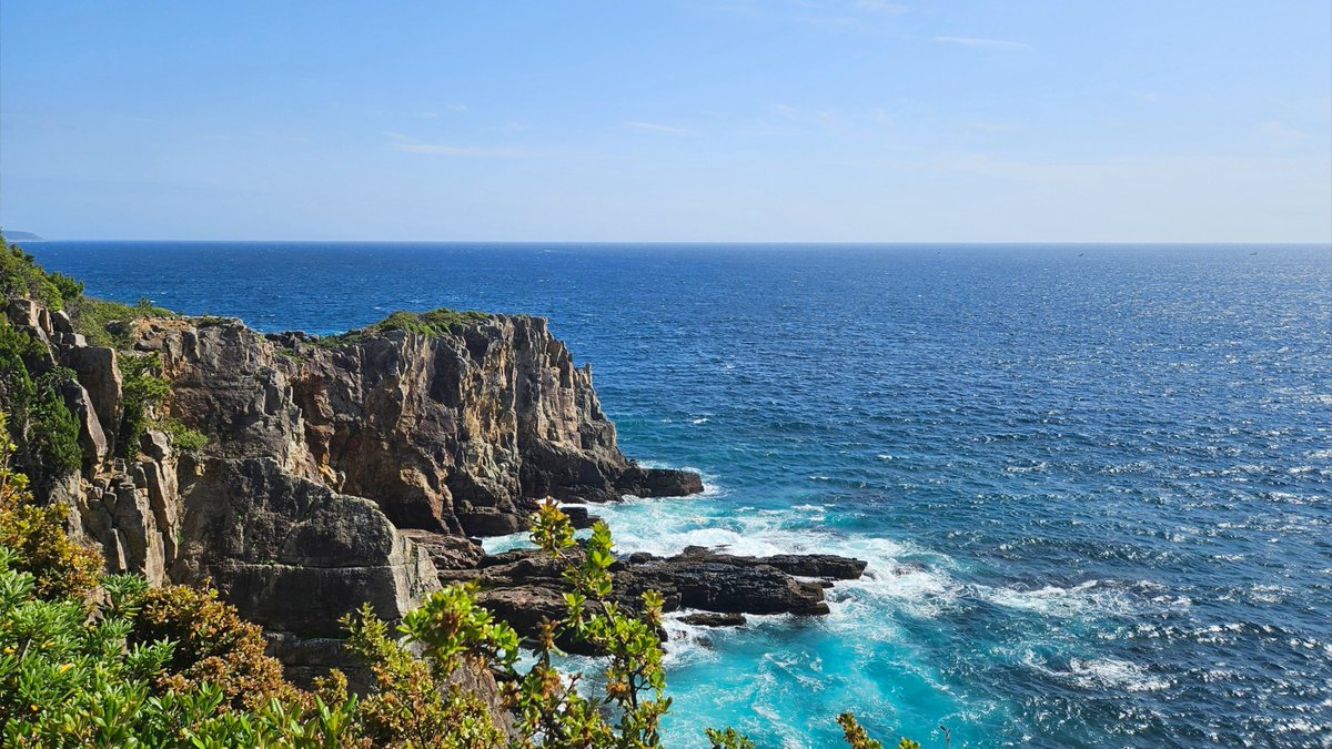 ginger97at's tweet photo. 友人たちと南紀白浜に行ってきた。
三段壁では断崖沿いの遊歩道を散策。
岩場のあちこちにトベラやシャリンバイの花が咲いていた。
崖下の洞窟内では激しく打ち寄せて砕ける波を間近で見て大興奮。絶え間ない轟音で圧巻の迫力だった。 https://t.co/0xP4xJm4zx