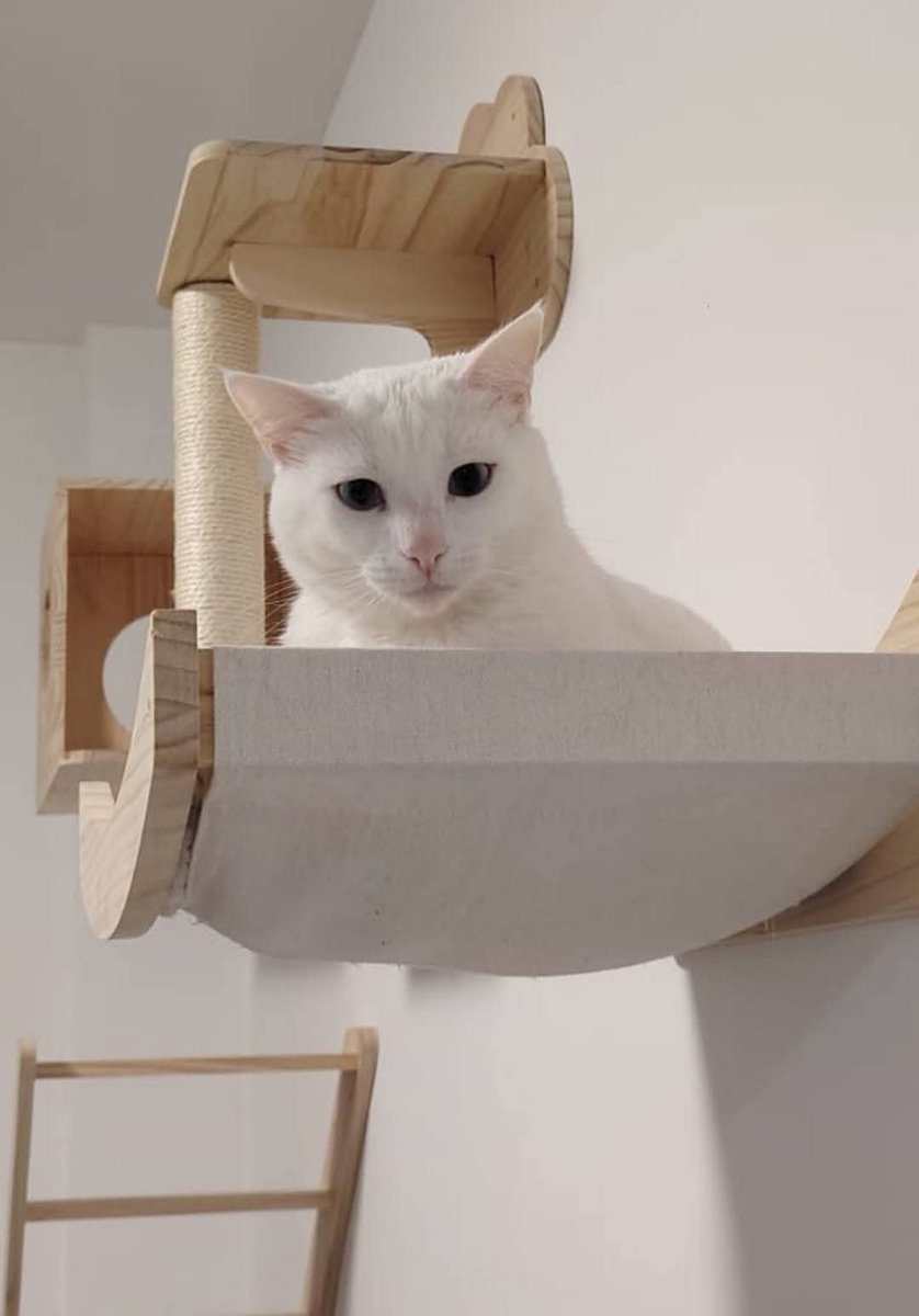 Solopar tweet media