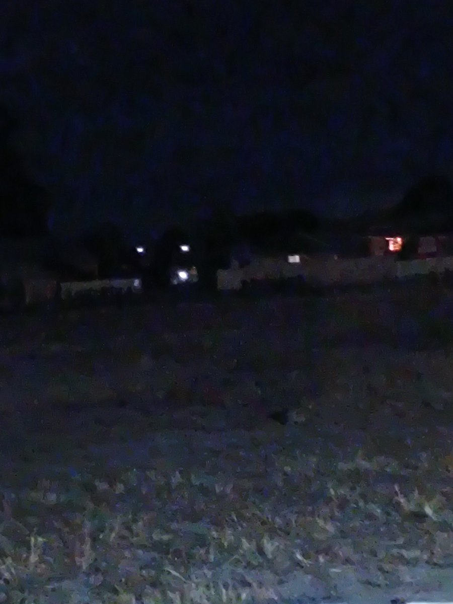 cecithepleb tweet media