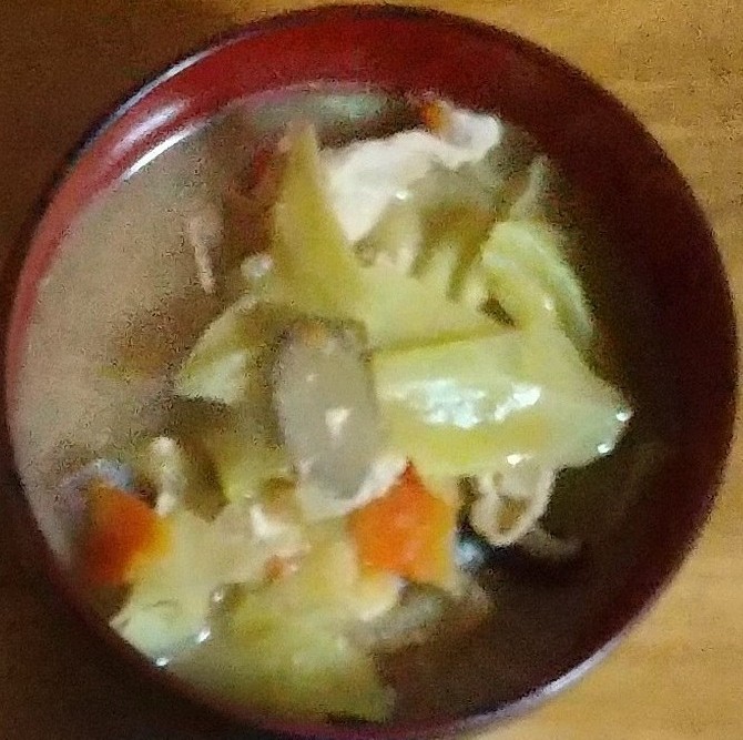 今はディナーの真っ最中でちゅ。本日のメニューはフカヒレ丼と焼き餃子と温泉玉子と豚汁でちゅ。本日は西武池袋線の運転見合わせによる振替輸送の利用による大迂回で体も心もヘロヘロでちゅから、フカヒレ丼のとろけるような味わいはとっても体に身に染みるでちゅねー(^^)