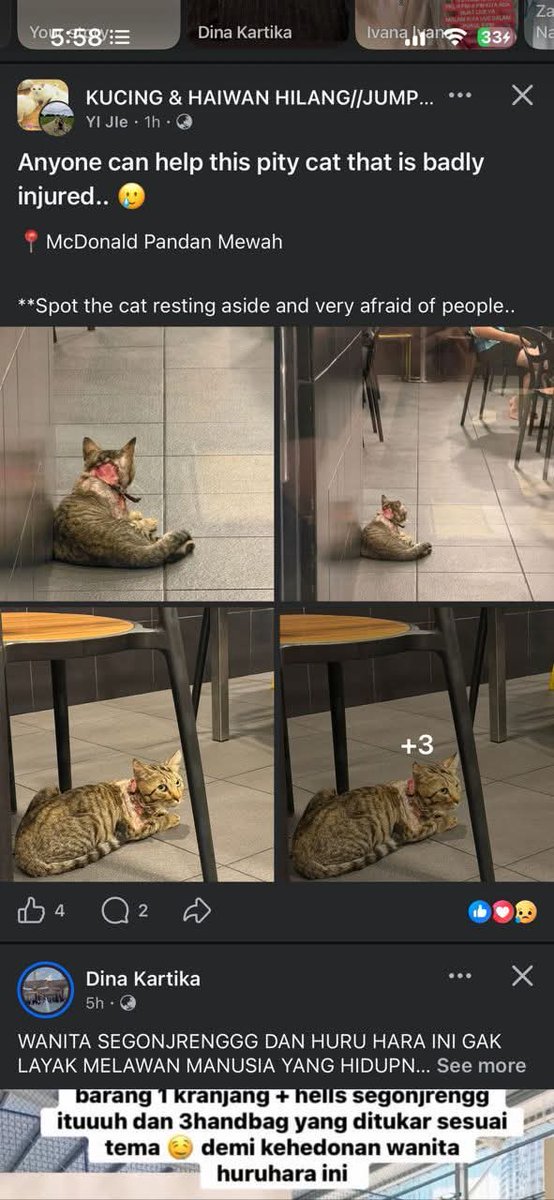 Kucing Terbuang tweet media