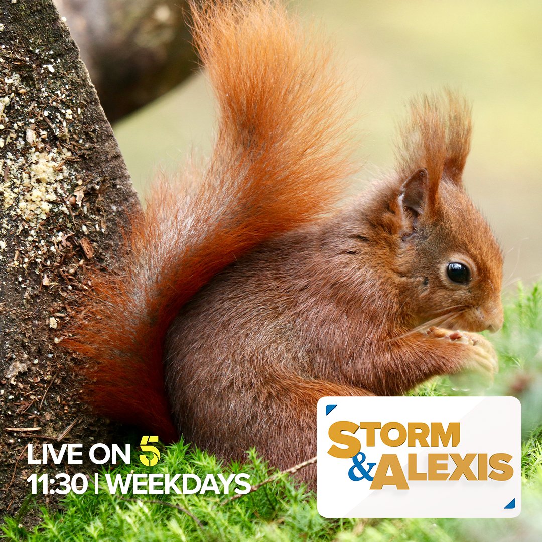 Jeremy Vine & Daytime on 5 tweet media