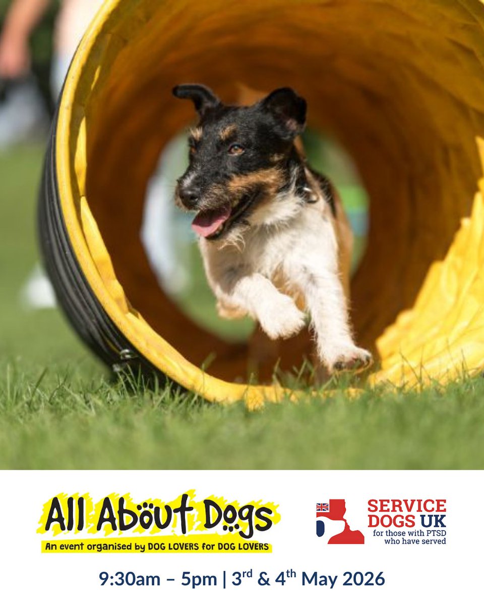 ServiceDogsUK tweet media