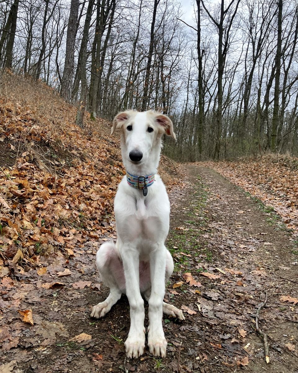 hello this is my son his name is chud be respectful