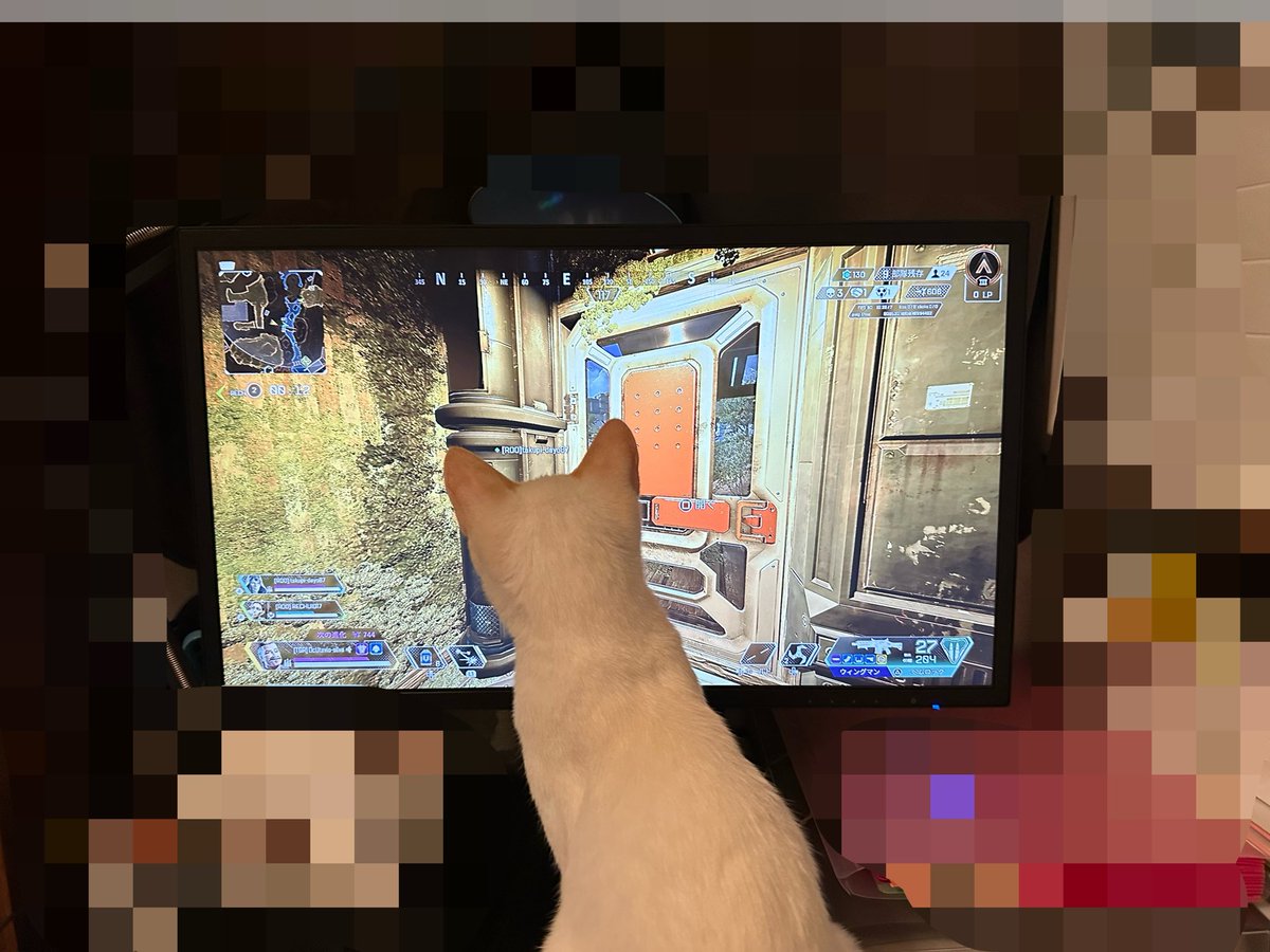 柊狼うた@新人Vライバー tweet media