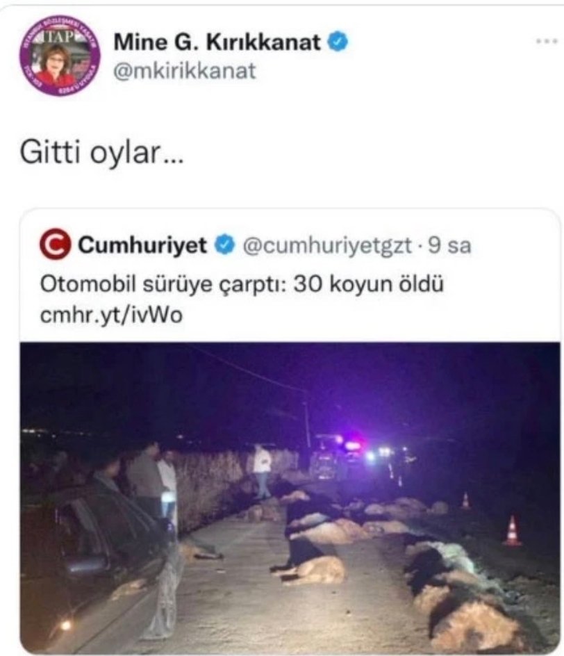 Mehmet Çakır ( SürMeneli ) tweet media