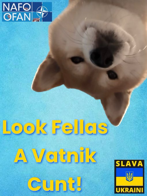 Bulgar Fella 🇧🇬 🇺🇦 tweet media