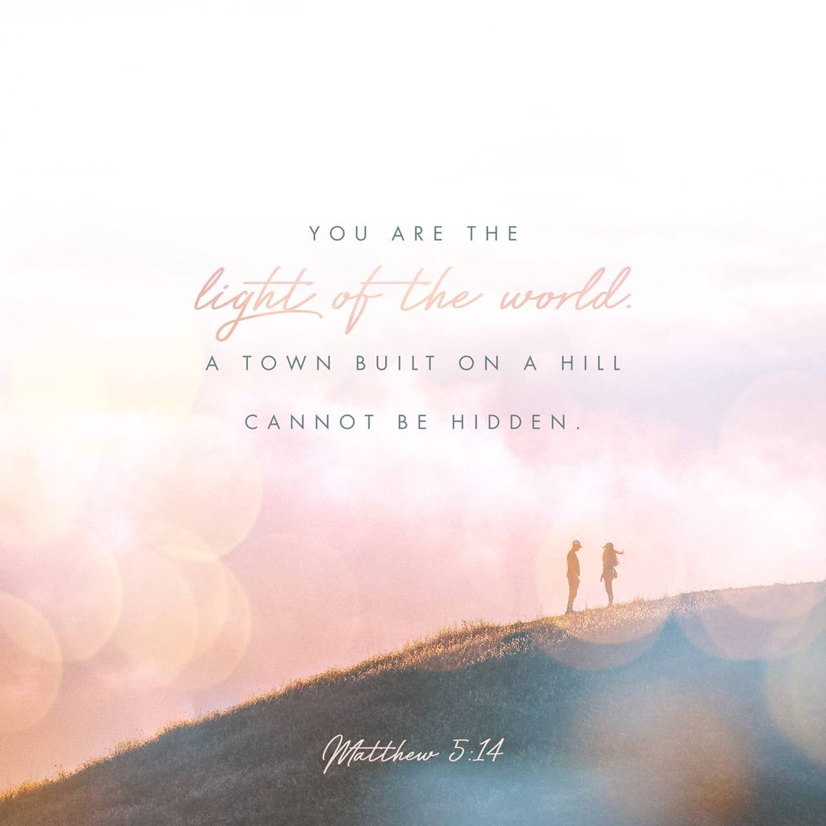 bible.com/verse-of-the-d…