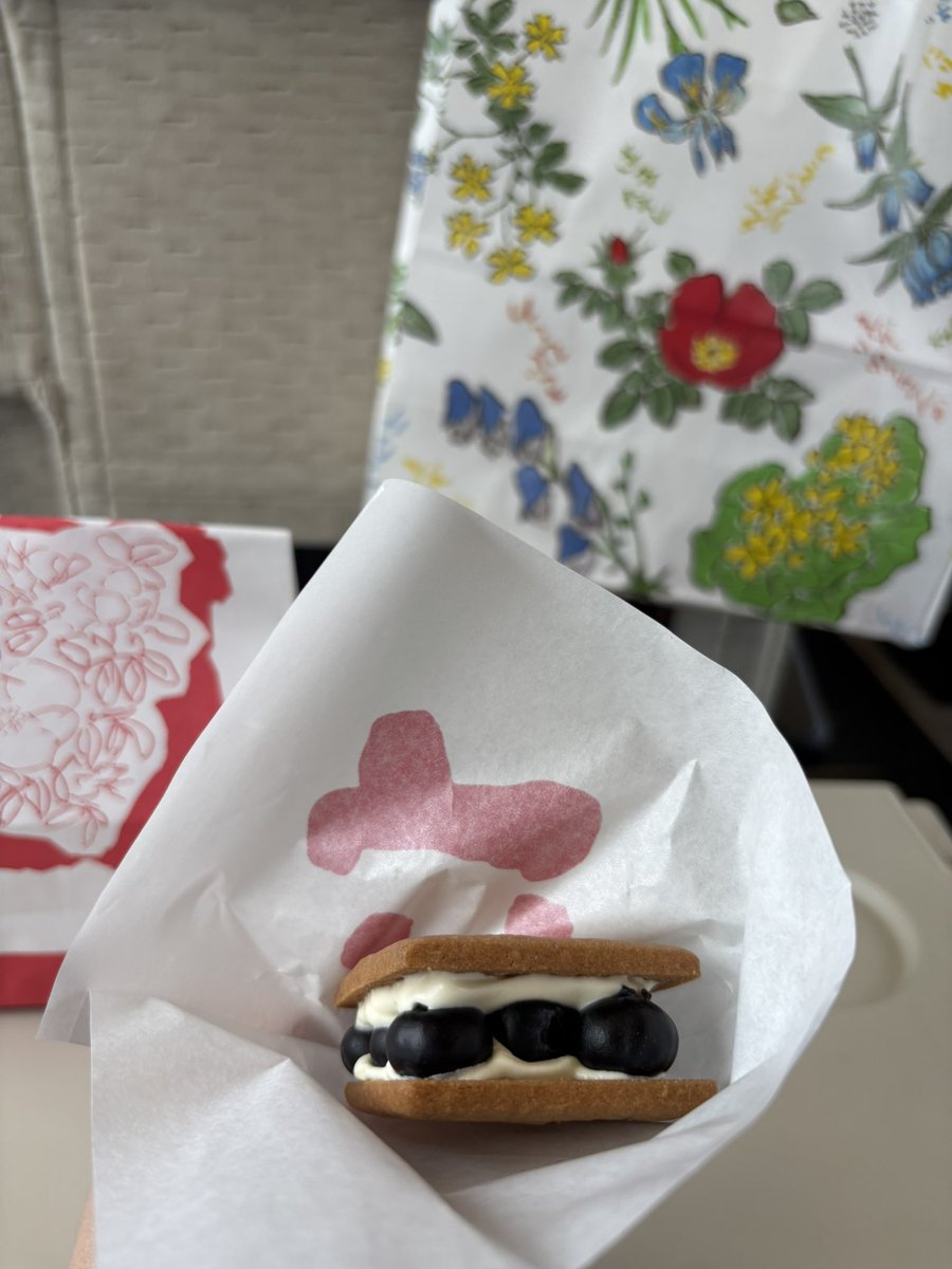 Kakegg's tweet photo. SFCで年間300万使わなければいけなくなってしまったので(？)、とりあえずプレミアムなシートに座りました。

先ほど買った六花亭のマルセイバターサンド(生ブルーベリー🫐)もいただきます。 https://t.co/RVS22ew4AD