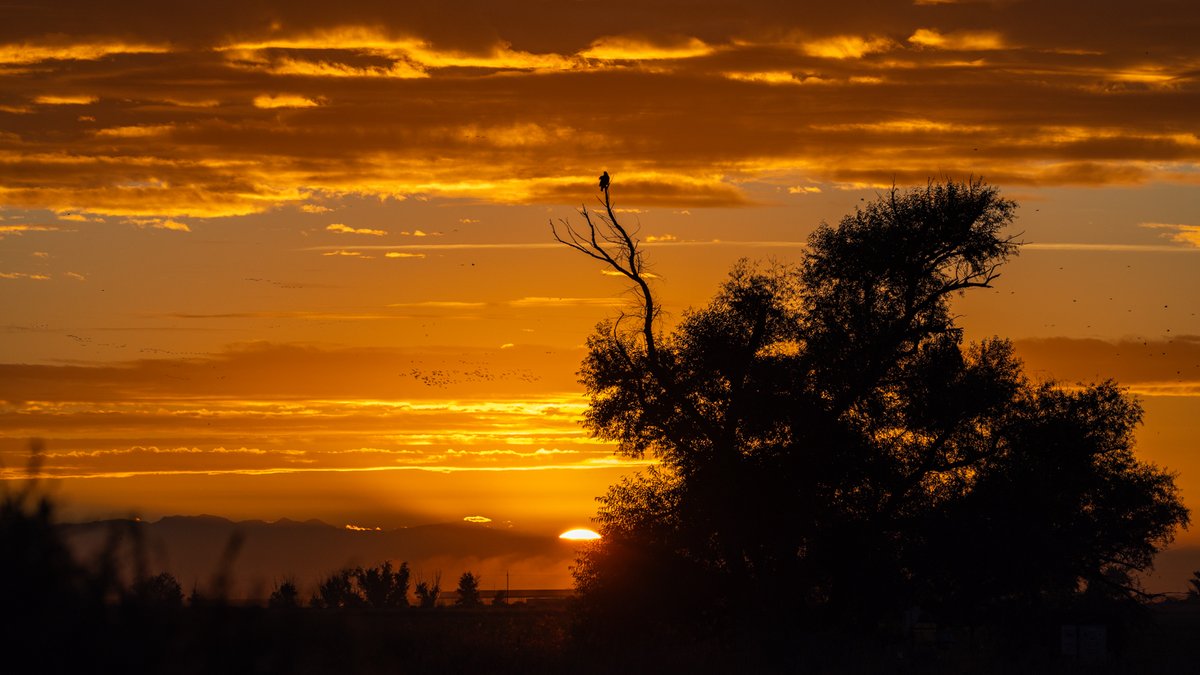 Tina Quillen Photography tweet media