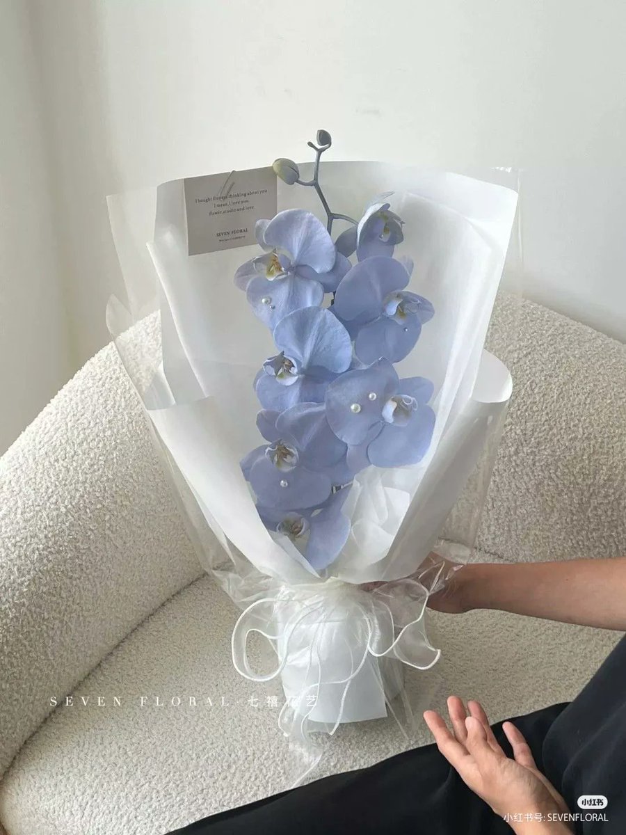 𝗟𝗨𝗞𝗘 𝗖𝗔𝗥𝗧𝗘𝗥 - 𝗔𝗡𝗗𝗥𝗔𝗗𝗘 tweet media