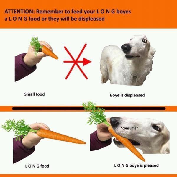 𝙆𝙮𝙡𝙚 🐾💻🎵 🔜 Ibercon tweet media