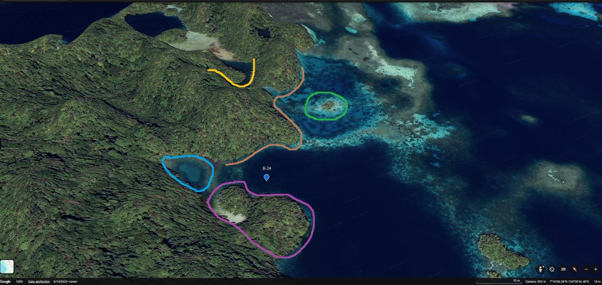 Timothy Creed tweet media