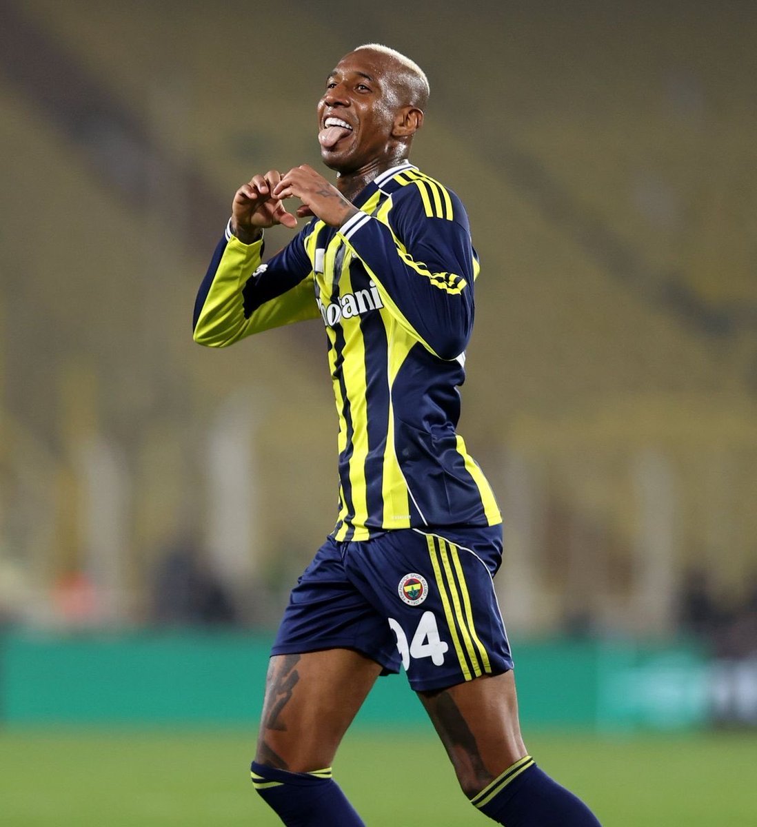 FenerFusion tweet media