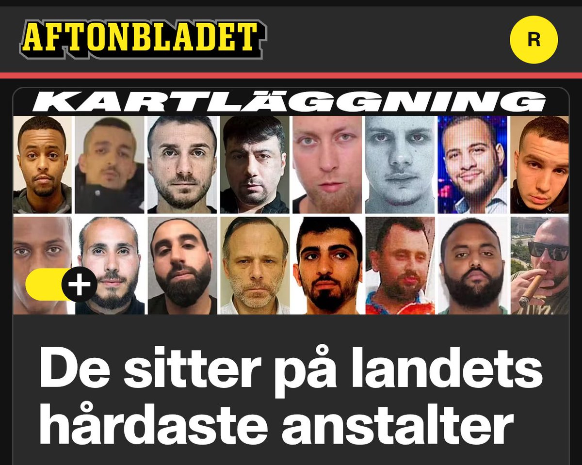 Tommy Larsson tweet media