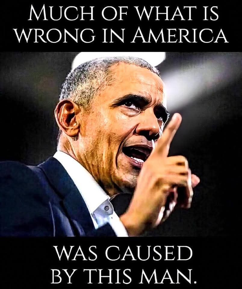 SensibleTXan tweet media