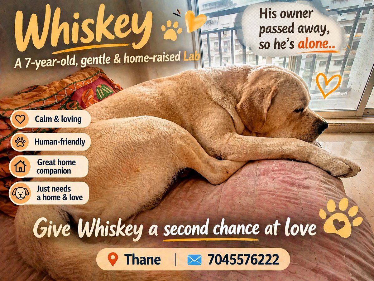 NORTH EAST ANIMAL PROTECTION SOCIETY tweet media