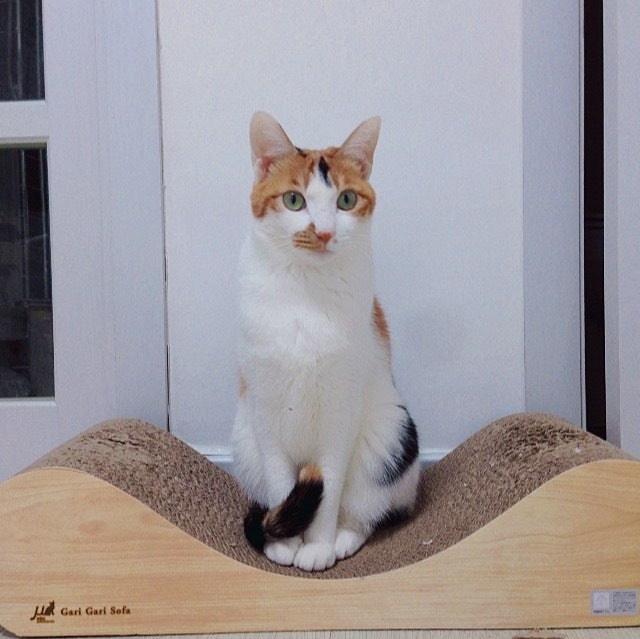 속보 월월 4시 퇴근 가능(7시 출근함)