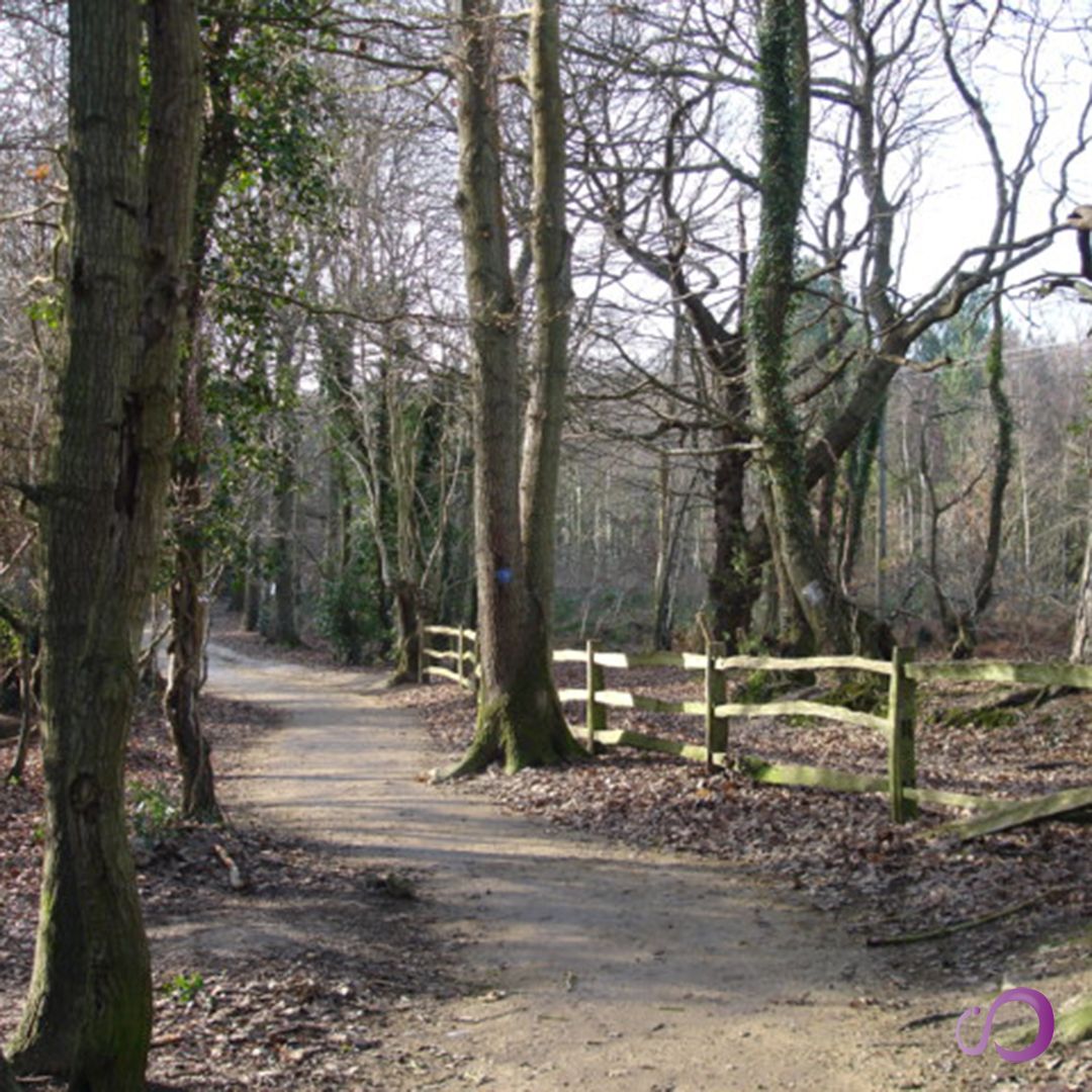 infinhomesvcs's tweet image. 🌳 From family homes to new developments, we’re proud to support residents in Highwoods with reliable property services.

#Highwoods #LocalSupport #AlwaysThere