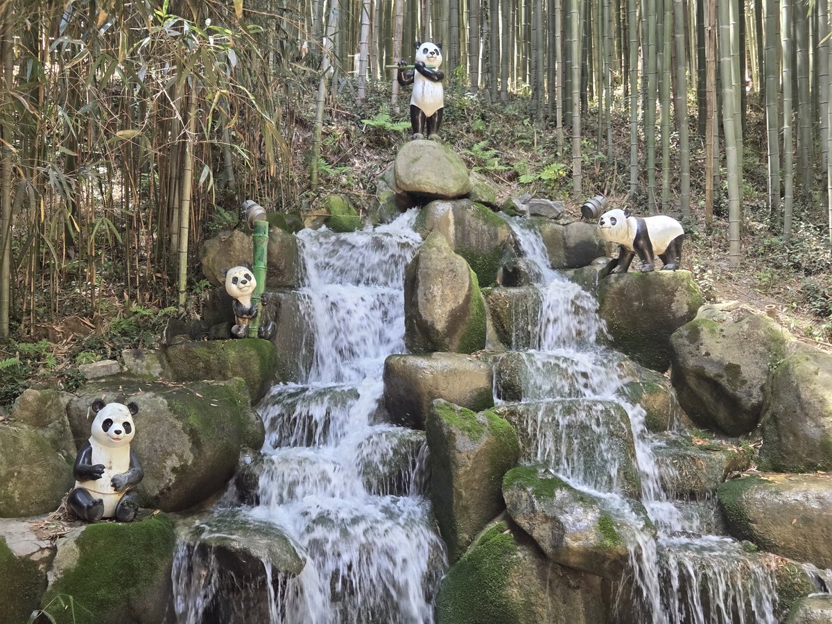 마이너스 tweet media