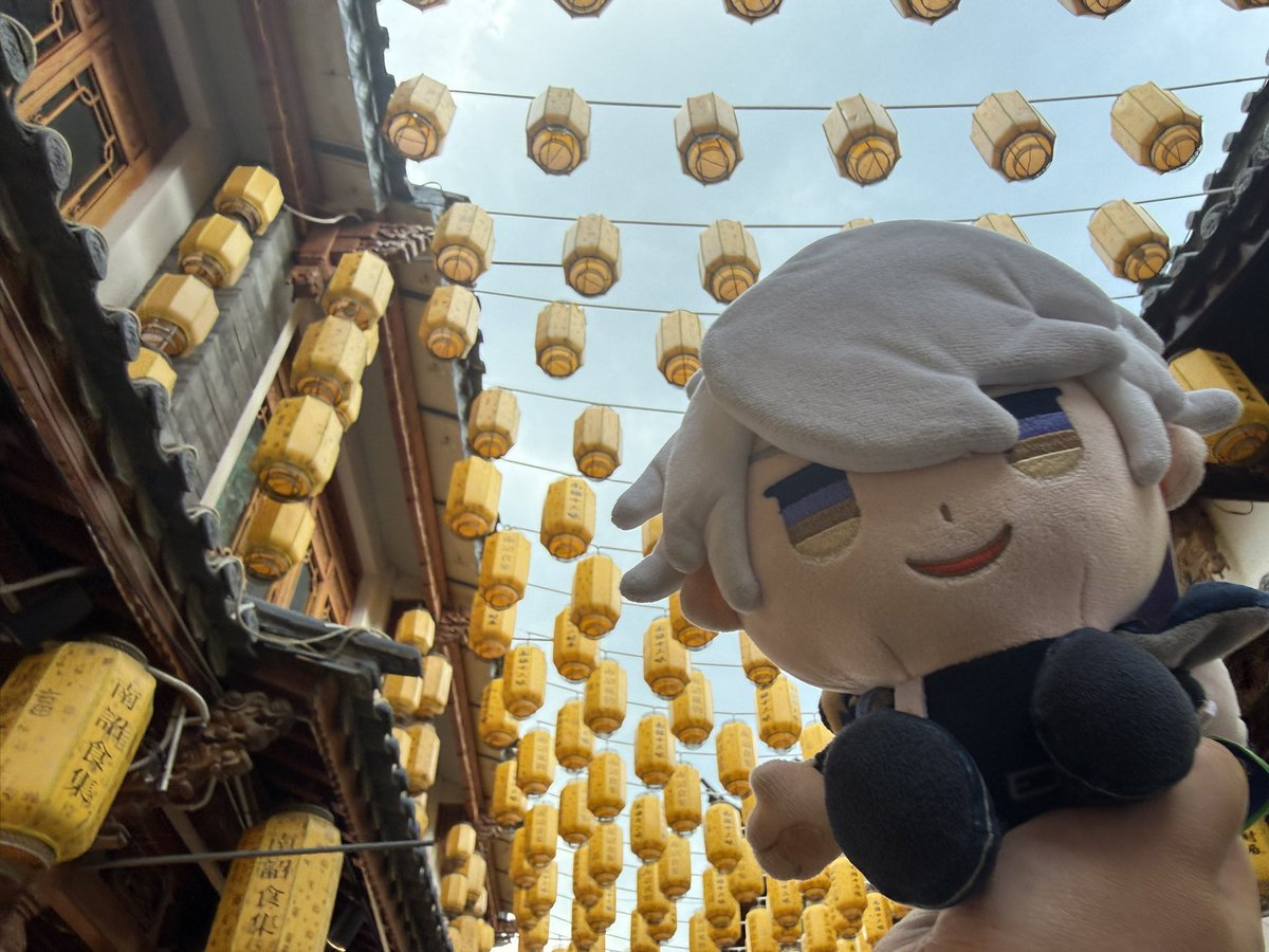 spideriscute's tweet photo. 所罗门真的该洗澡了，白头发都变成黑了 https://t.co/0tjFESLeYl