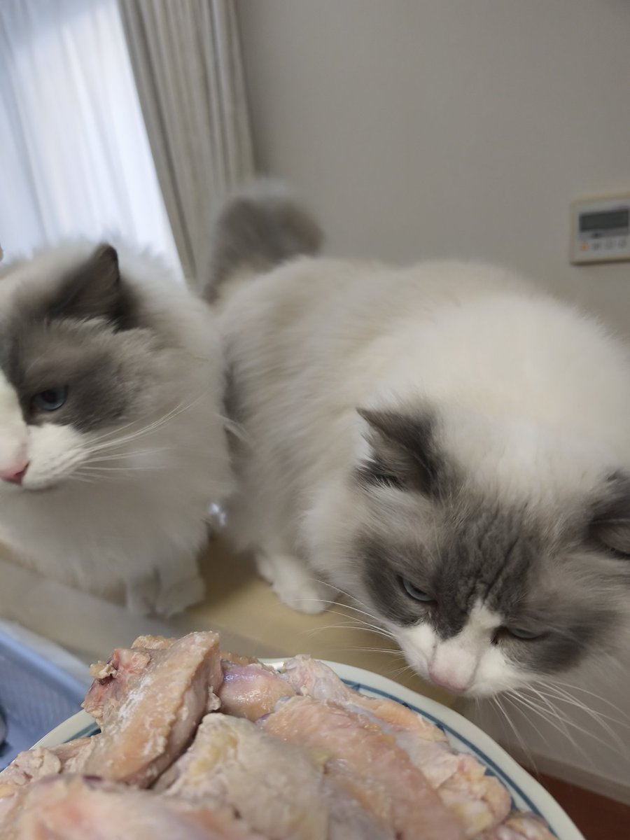 san T san tweet media