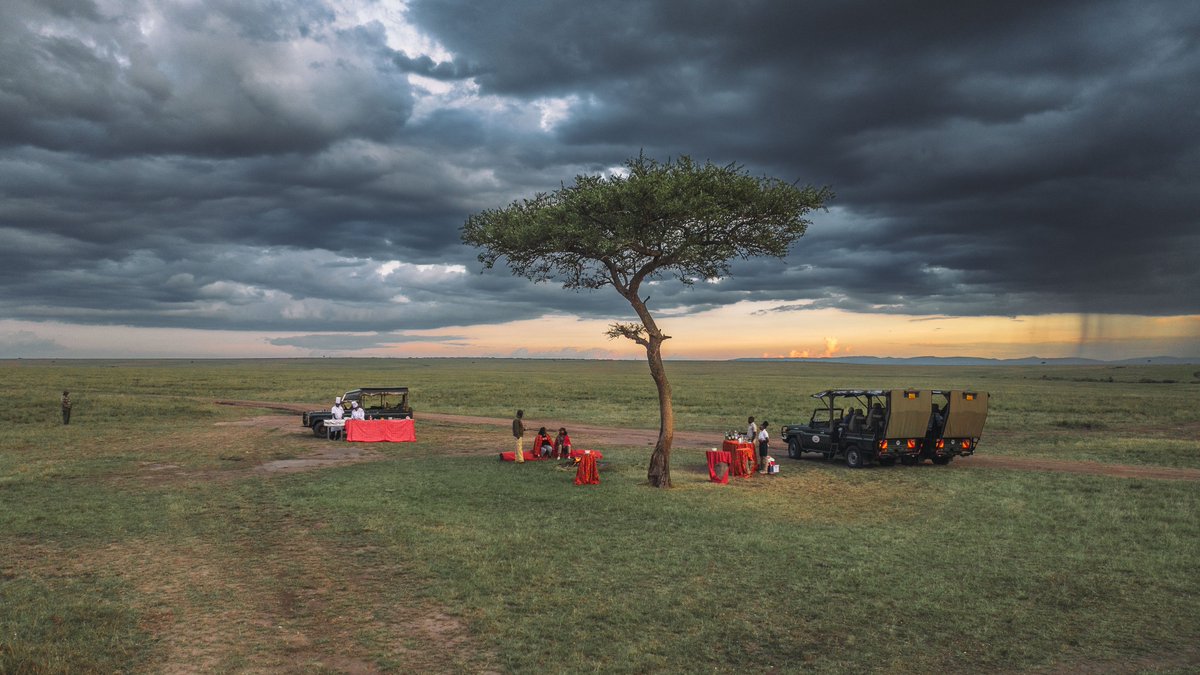 BontelSafaris's tweet image. Golden horizons, untamed wilderness✨

Mara Intrepids Camp is where adventure meets comfort—perfectly set along the Talek River for unforgettable safari moments.

#Masaimara #MagicalKenya