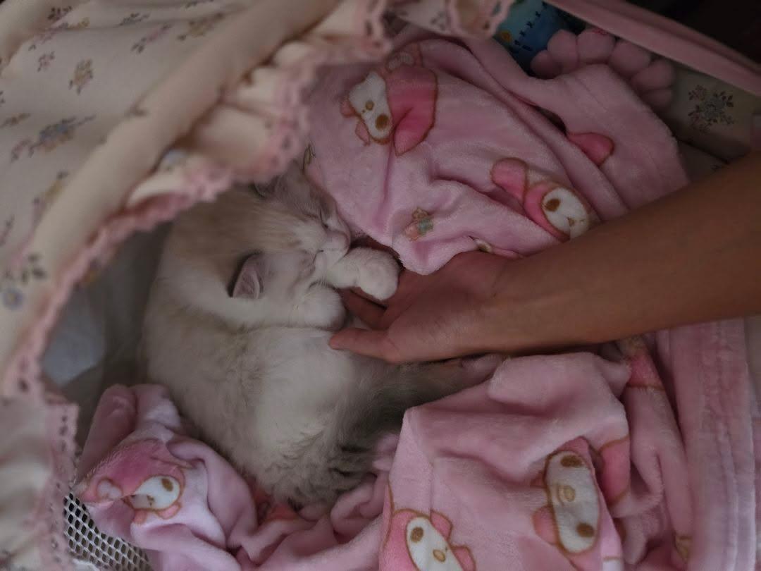 Na || WU อู ☯︎ tweet media