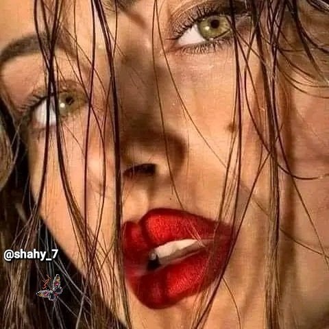 —̳͟͞͞ 💗 شهد شاهي💗 —̳͟͞‎⁦ tweet media