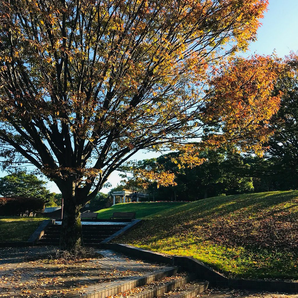 jun_horiguchi's tweet image. 🍂🍂🍃🍂🍂🍃🍂🍂

instagram.com/jun.photo.bw

#photos #bw #モノクロ #autumn