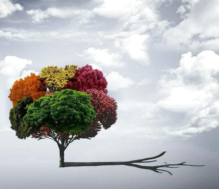 🩺🅰🅷🅼🅴🅳 tweet media