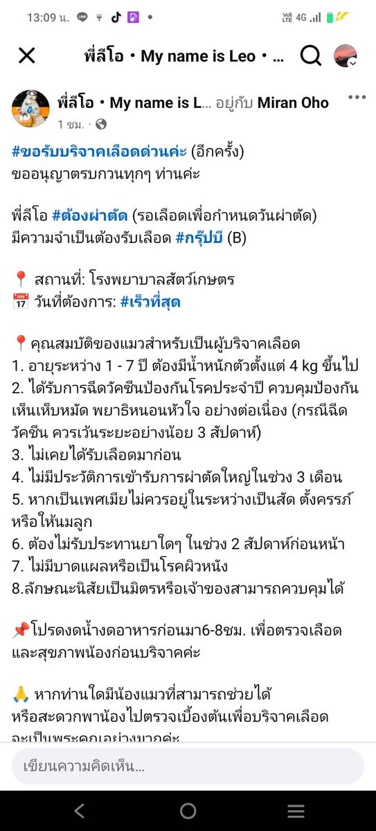 Catster & Co บ้านพักพิงแมวจร tweet media