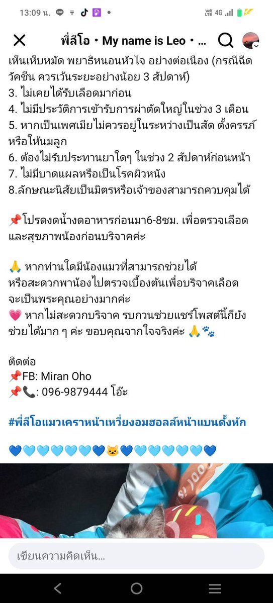Catster & Co บ้านพักพิงแมวจร tweet media
