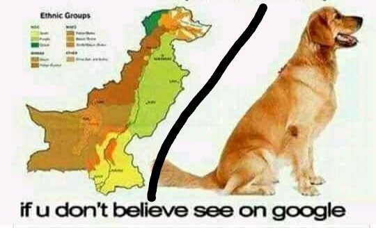 Haseeb 🇵🇰 tweet media
