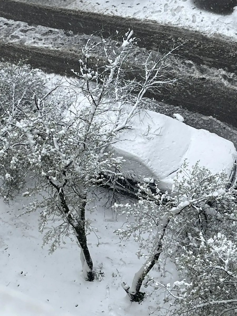 святой амфибрахий tweet media