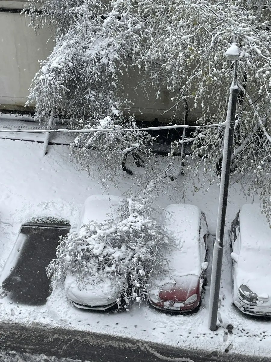 святой амфибрахий tweet media