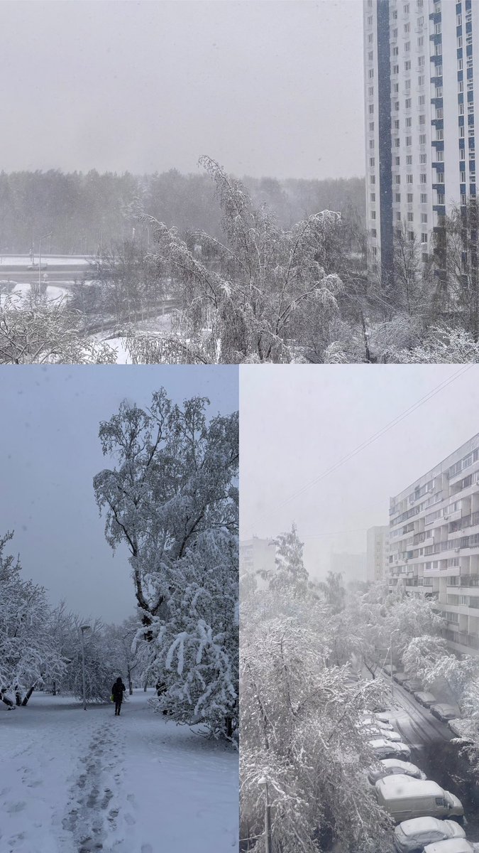 святой амфибрахий tweet media