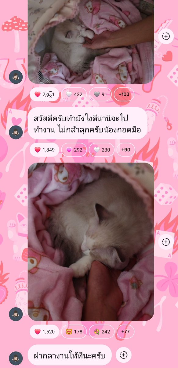 𝙚𝙧𝙜𝙤 ✧ tweet media