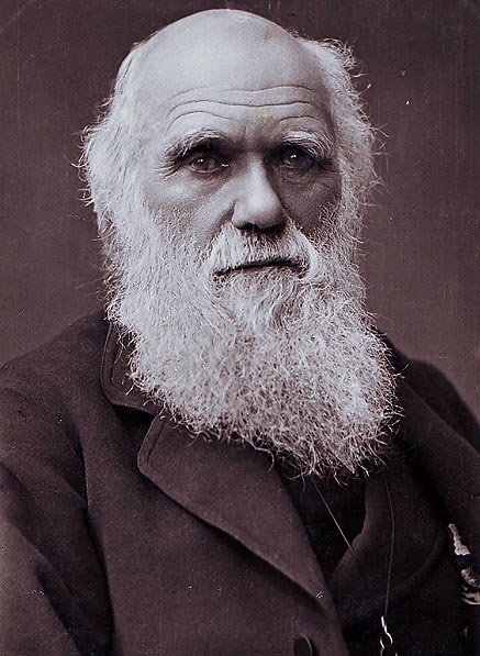 TheTwinPowers's tweet image. "Celui qui n'évolue pas disparaît." 

Charles Darwin 
#quote 

"Whatever does not evolve disappears."