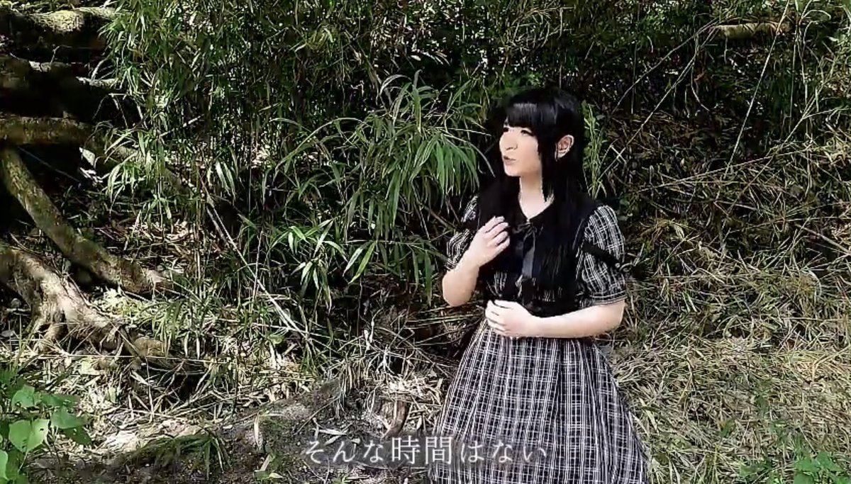 毒松☆セイたん tweet media