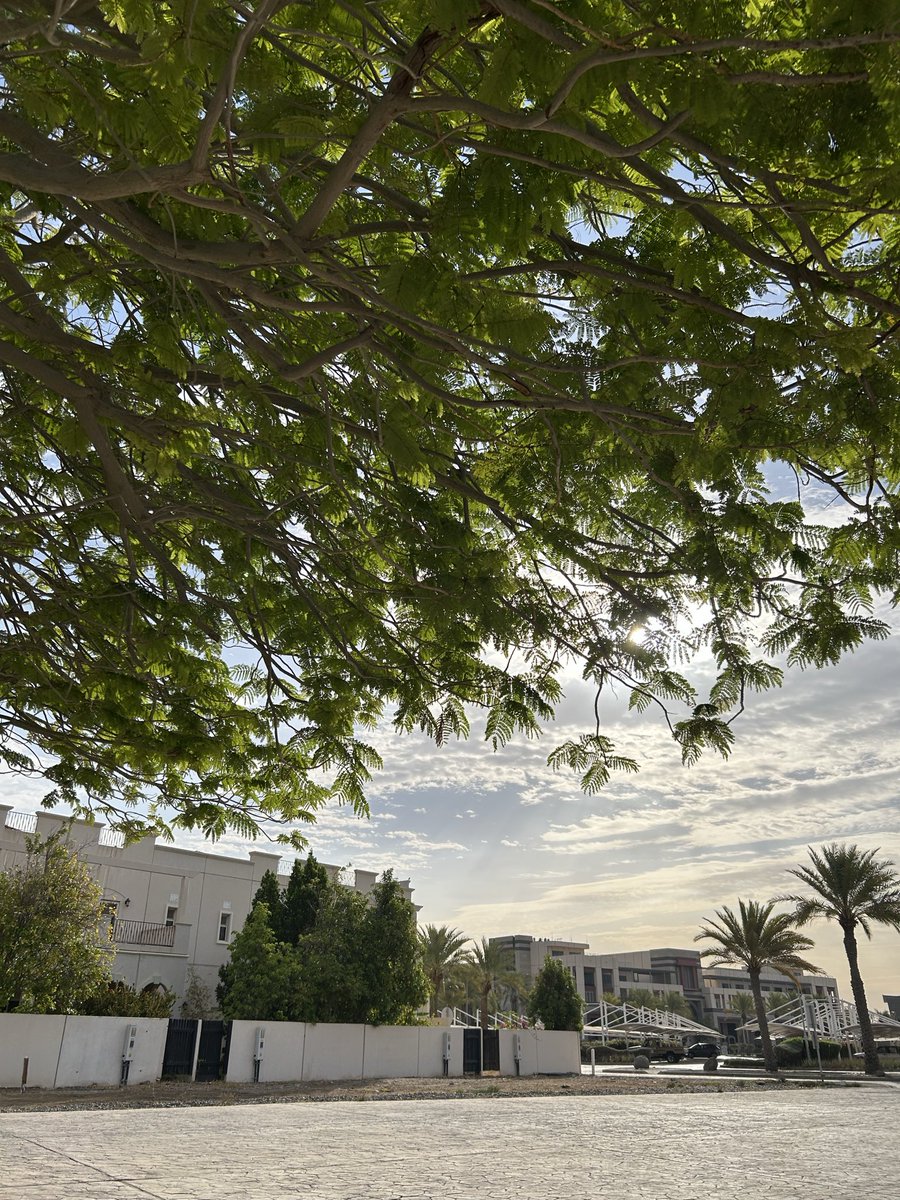 Rawan_lab's tweet photo. صباحًا! صباح الاثنين

في محاولة لبدء روتين صباحي جديد قبل الدوام.. لأن هالوقت من كل سنة يبدأ كل شيء يجري، ويكون الوضع منهك بدون ما ابدأ بداية يومية هادية. 
-صلاة الفجر 
-جرعات فيتامين سي
-تأمل واتصال بالطبيعة
-فطور وقهوة 
-النشرة 

-ويقول لك اقتباس اليوم: "أيًّا كان ما تودُّ أن تكرِّس له انتباهك، فالمقاطعات لا تكلِّفك فقط الوقت الذي تستغرقه للتعامل معها، بل تظل عالقة في الخلفية، تستهلك حيّزًا ثمينًا من ذاكرتك."

فا اذكرني وإياكم اننا نحافظ على انتباهنا وطاقتنا لأنها والله من أثمن ما نملك. 

أتمنى لنا يوم مُثمر! 🤍