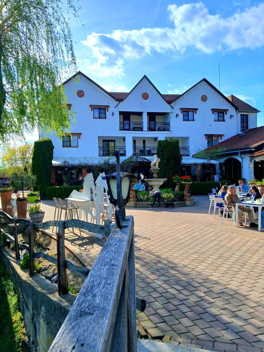 Travel_2Romania's tweet image. Domeniul Dracula Daneș, într-o zi minunată de aprilie!❤️🐎🌸🌞
#DomeniulDraculaDanes #Danes #horses #weekendvibes #colorfulnature #animalfarm #austriches #swans #transilvania #travelblogger
📷 Transilvania Photobook